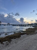 IMG_8476.jpeg