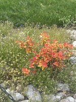 IMG_8758.jpeg
