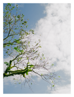 P1030390.png