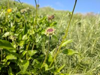 IMG_20170214_141349.jpeg